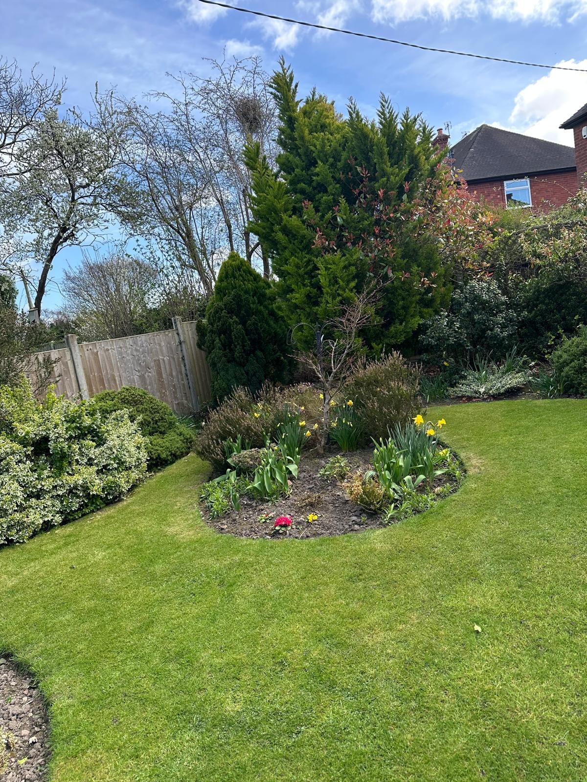 Edging a lawn around a curved flower bed in a traditional garden with spring flowers and mixed shrubs